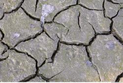 Cracked Soil